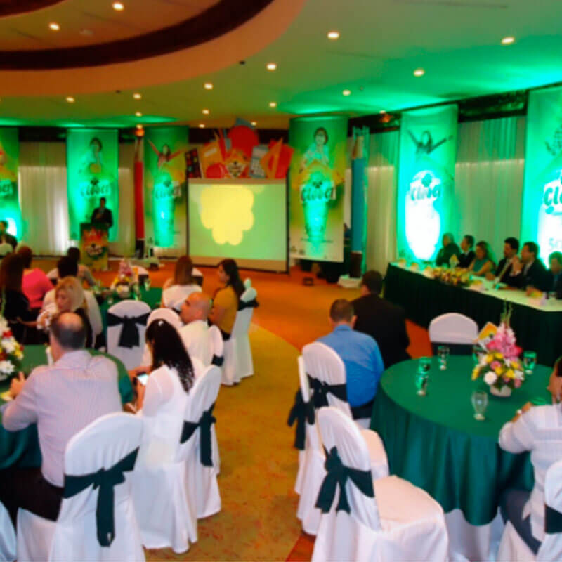 Clover Brand: Becas Clover Brand 2018