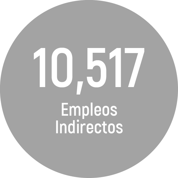 10517 empleos indirecto codis